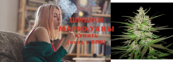 ешки Бронницы