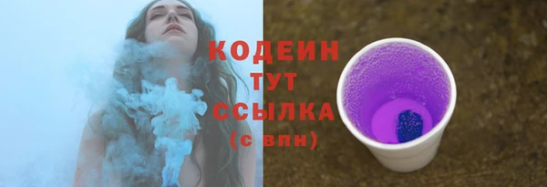 соль ск Бородино