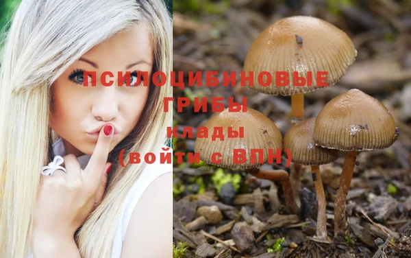 прущий лед Бугульма