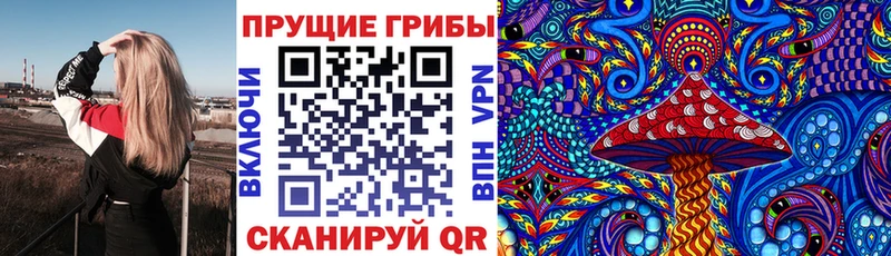 Галлюциногенные грибы Magic Shrooms  где можно купить   Верхний Уфалей 